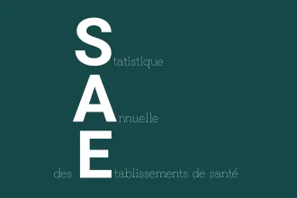 Illustration - La SAE 2025, l’occasion de valoriser votre activité au sein de votre établissement