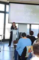 Journée des Cellules d'animation régionale de soins palliatifs