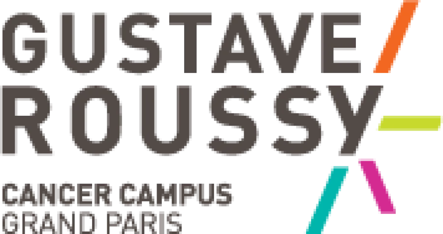 UDEP - Unité d'Expertise Palliative - Institut Gustave Roussy