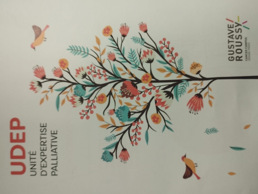 UDEP - Unité d'Expertise Palliative - Institut Gustave Roussy