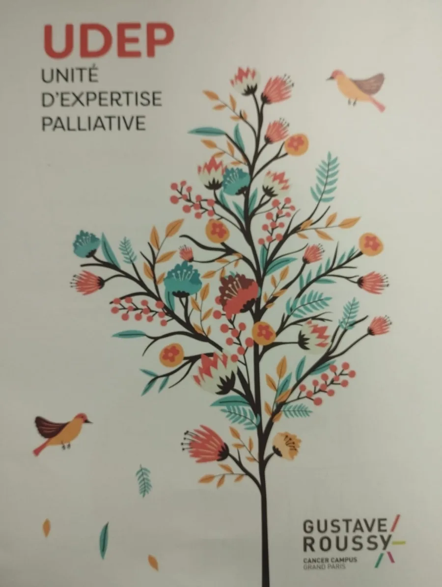 UDEP - Unité d'Expertise Palliative - Institut Gustave Roussy